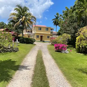  Apartment Little Shaw Park Jamaica