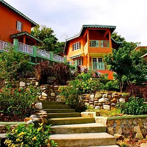  Lodge Pimento Jamaica